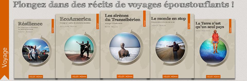 Voyager en ebook
